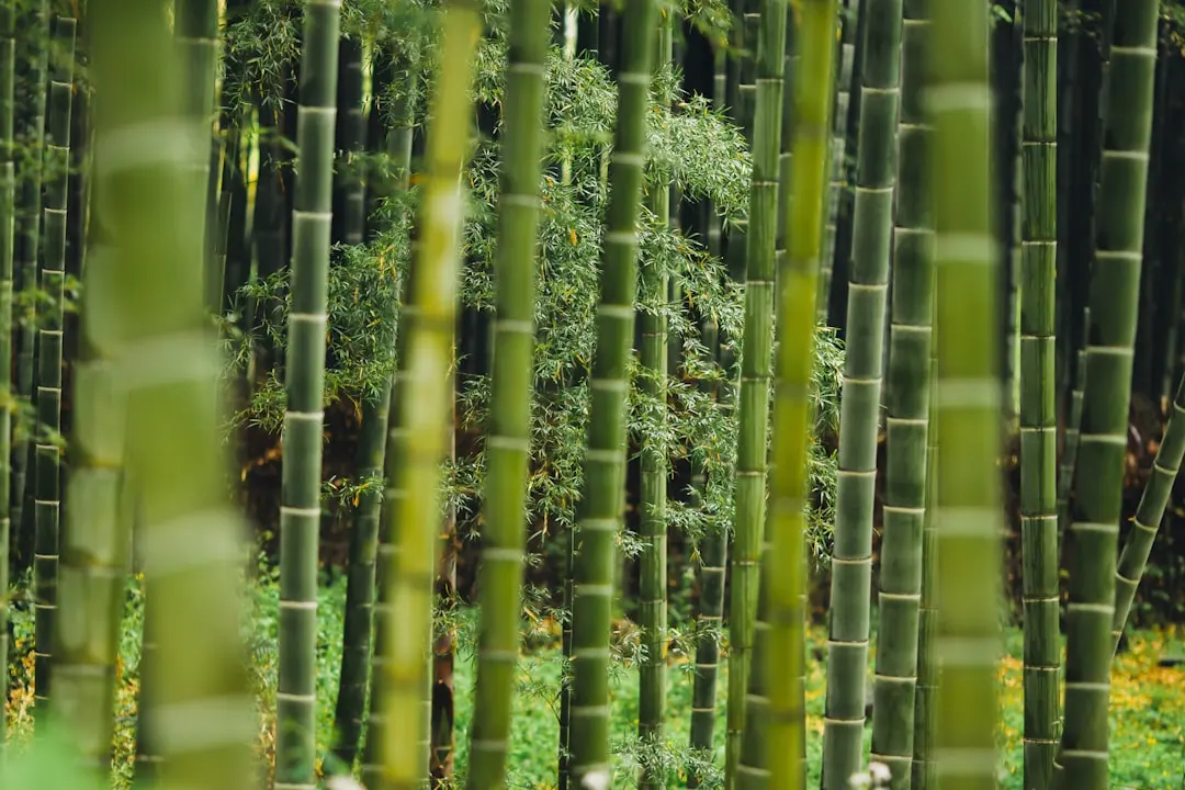 广州企业桌面云化转型中云管平台硬件选型要点分析
